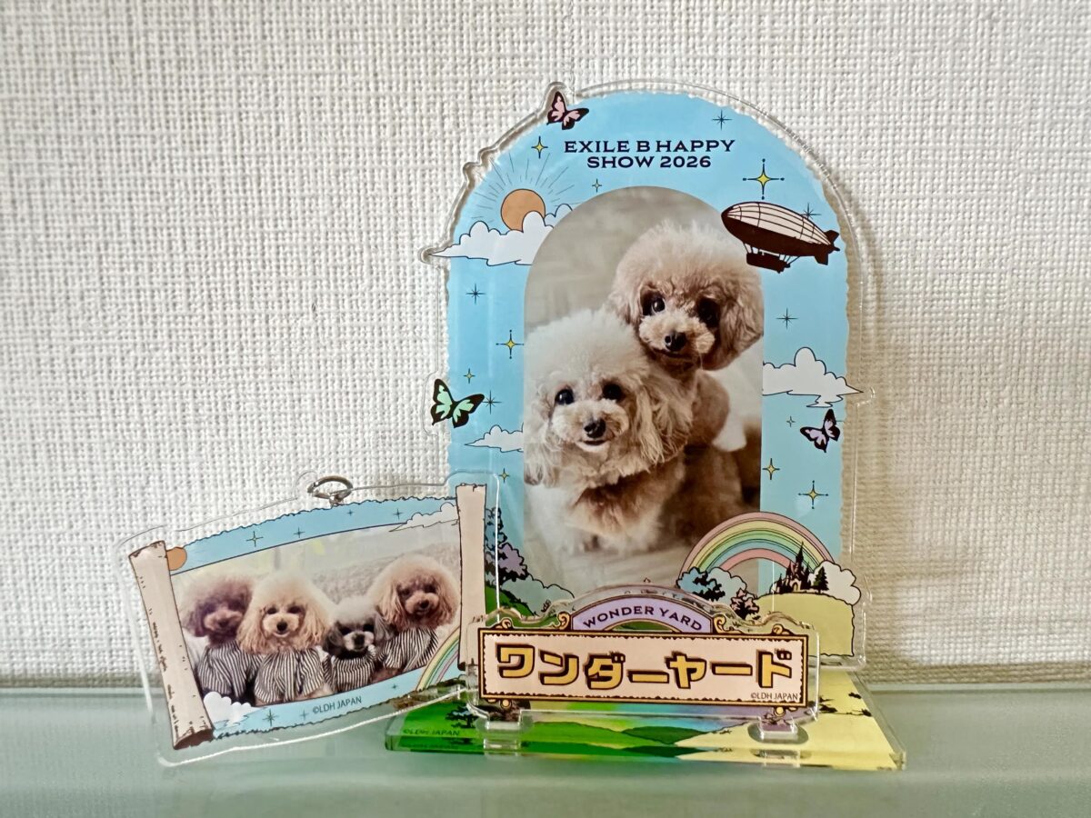 愛犬で期間限定コラボグッズを作ってみた！推しとの仕事が現実に！？