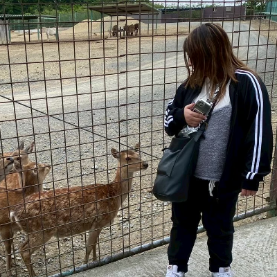 たかな