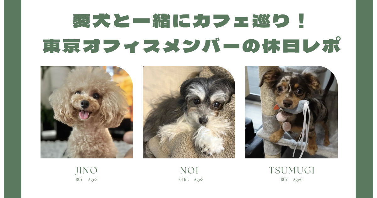 愛犬と一緒にカフェ巡り！東京オフィスメンバーの休日レポ